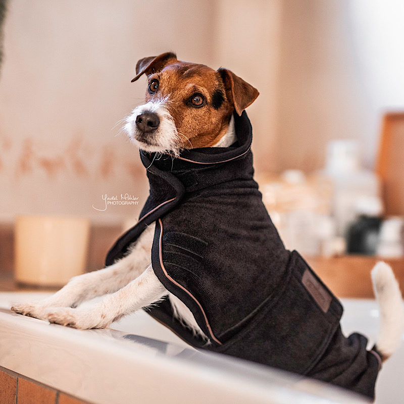 Kentucky Dogwear Towel Coat