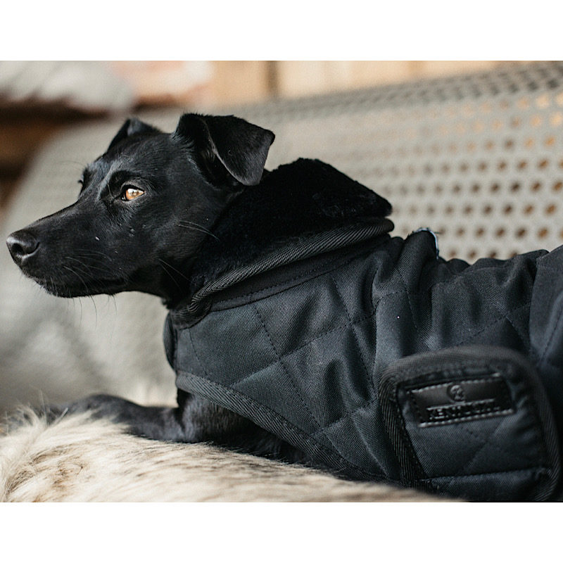 FABADA30 E418 4FA7 88D0 50B8581E11ED Kentucky Dogwear Dog Coats - Black