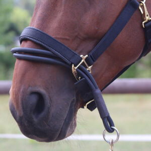 Ezyloader Headcollar Adaptor