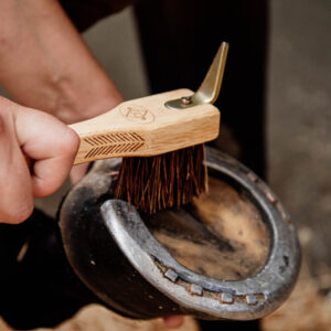 Grooming Deluxe Hoof Pick