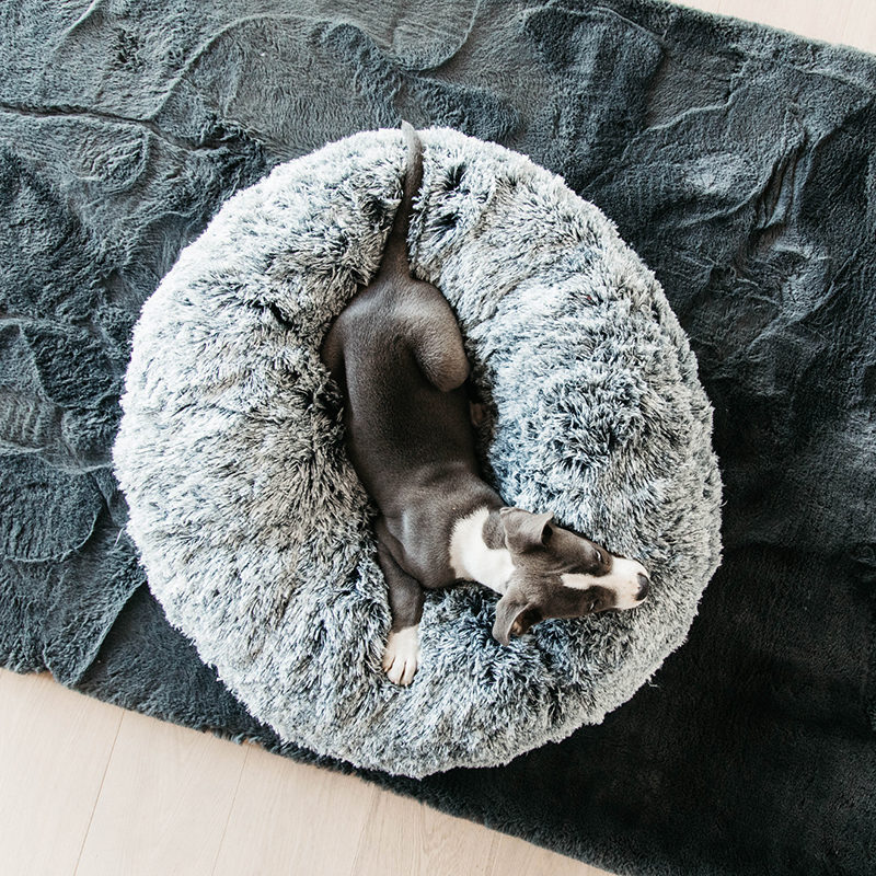 Kentucky Dogwear Dog Bed Donut