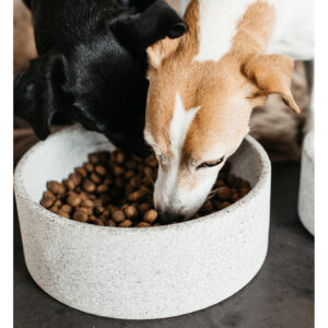Kentucky Dogwear Granite Dog Bowl