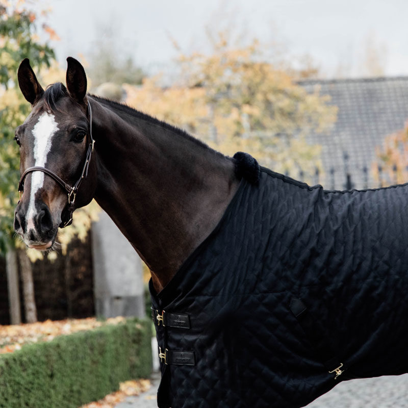 Kentucky Horsewear Lightweight Stable Rug Black 5