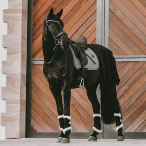 Pied-de-Poule Saddle Pad Dressage Black 1