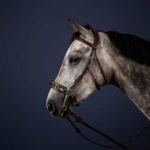 Dy'on New English Collection Hackamore Bridle