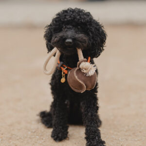 Kentucky Dogwear Dog Toy Cotton Rope Baseball