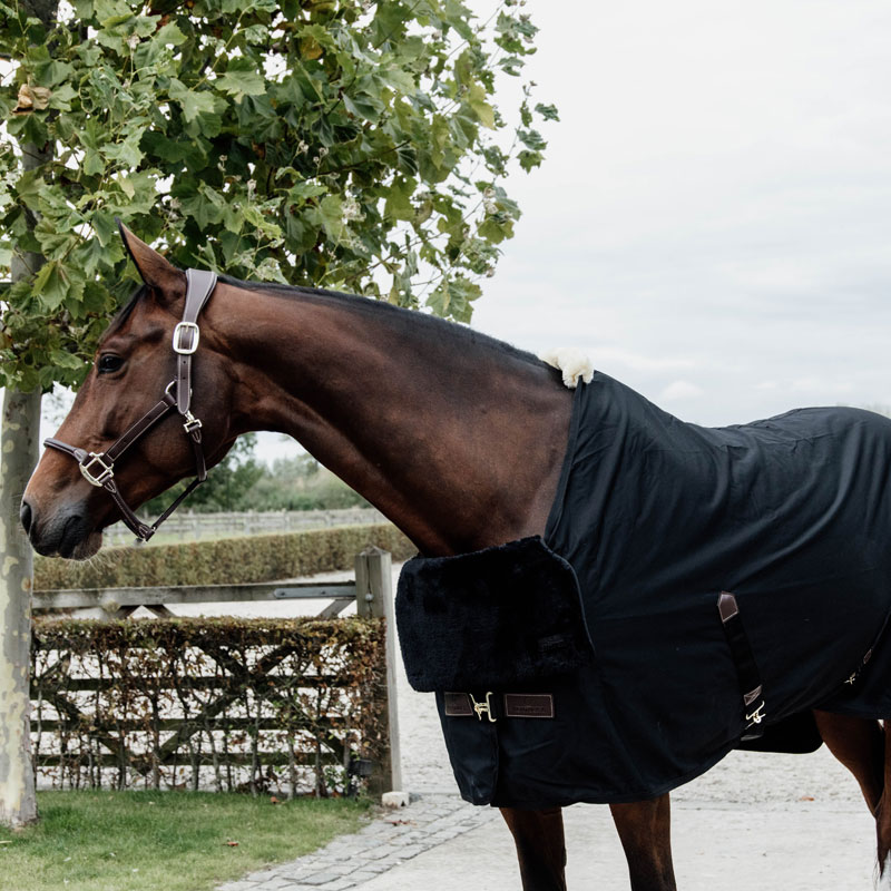 Kentucky Horsewear Horse Bib Chest Protection Sheepskin UK Just Equine