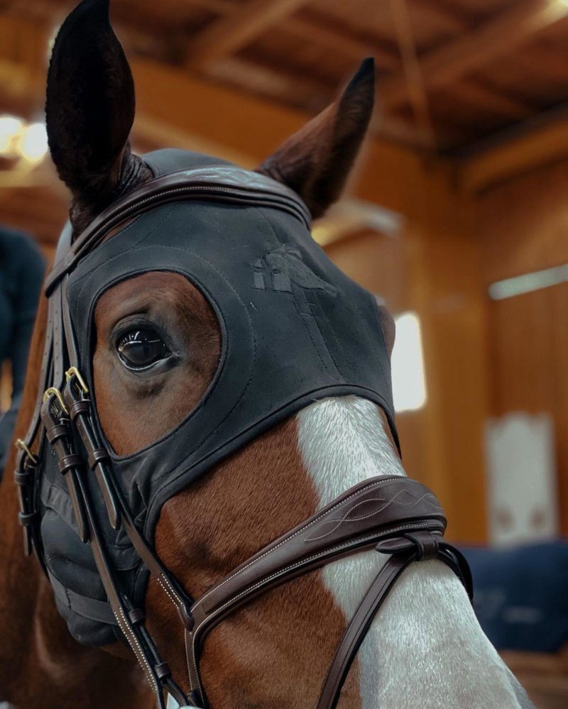 Fenwick Liquid Titanium Calming Mask UK Just Equine
