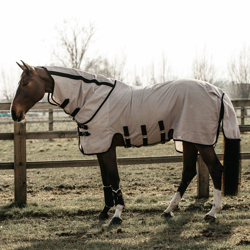 Kentucky Horsewear Mesh Fly Horse Rug 1 Kentucky Horsewear Mesh Fly Rug