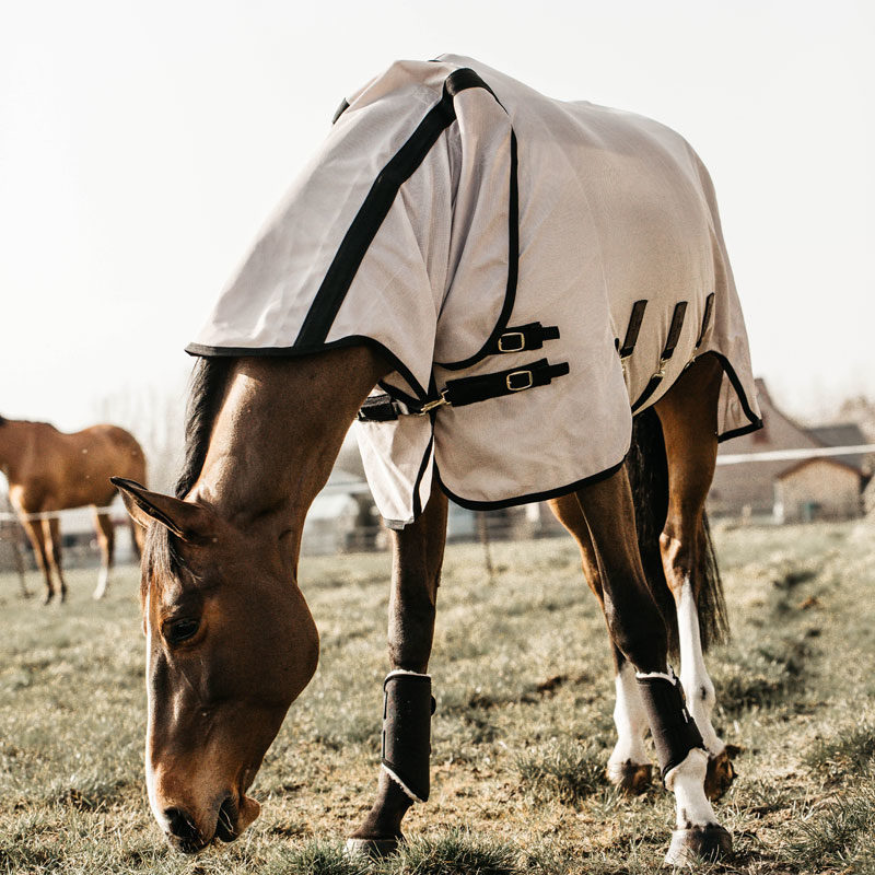 Kentucky Horsewear Mesh Fly Horse Rug 2