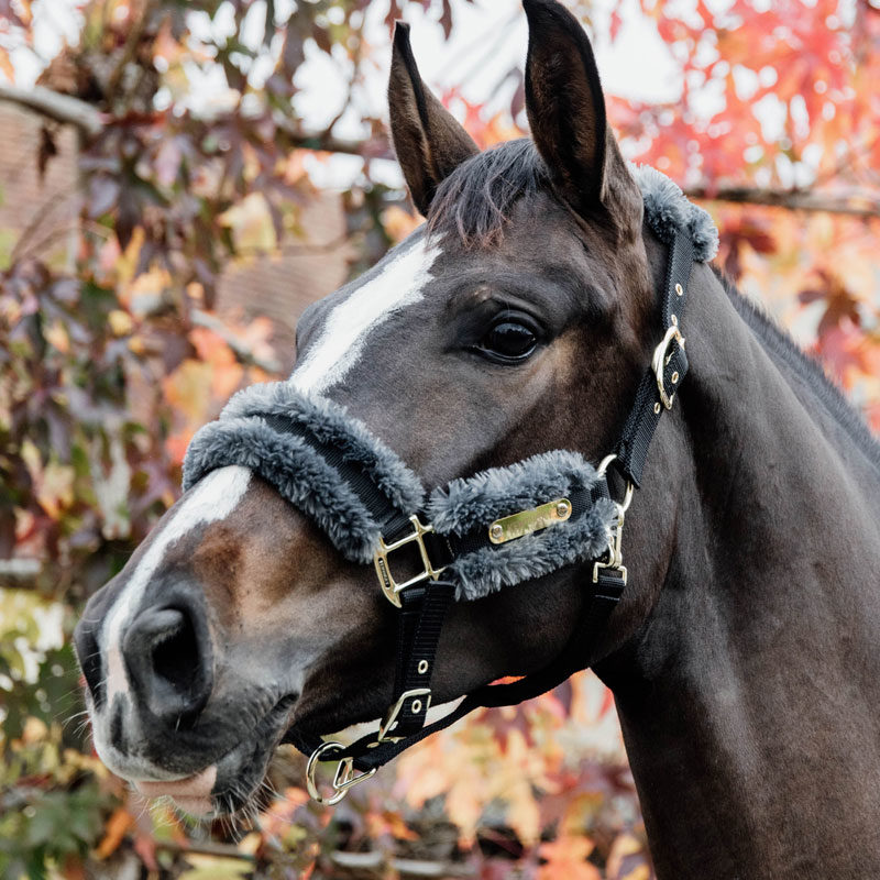 Kentucky Nylon Sheepskin Headcollar Grey 2