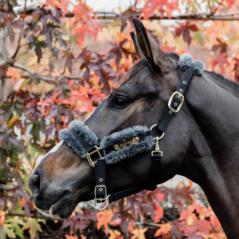 Kentucky Nylon Sheepskin Headcollar Grey