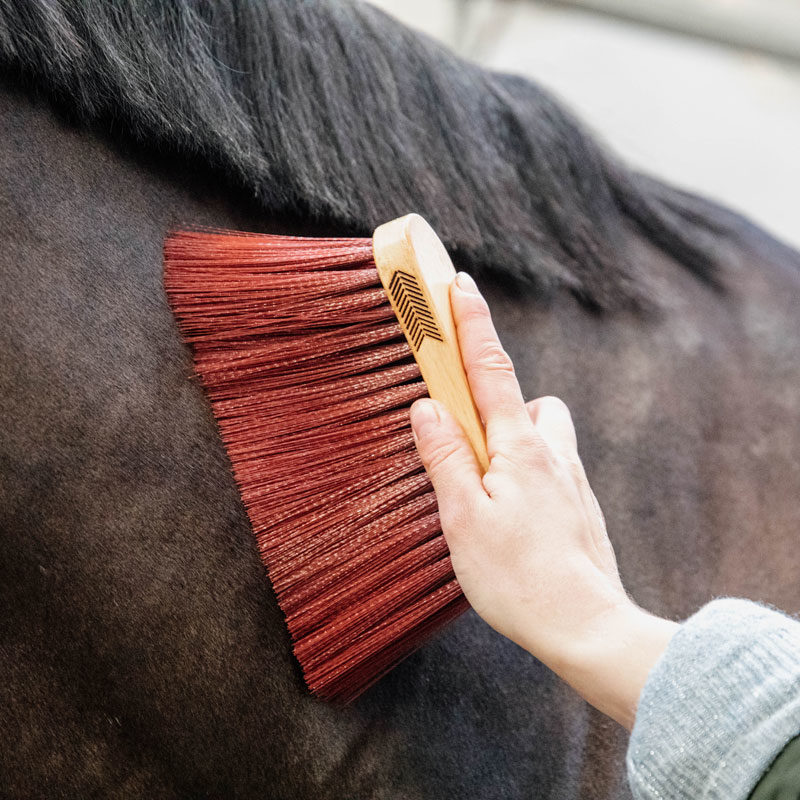 Grooming Deluxe Middle Brush Long Brown 1