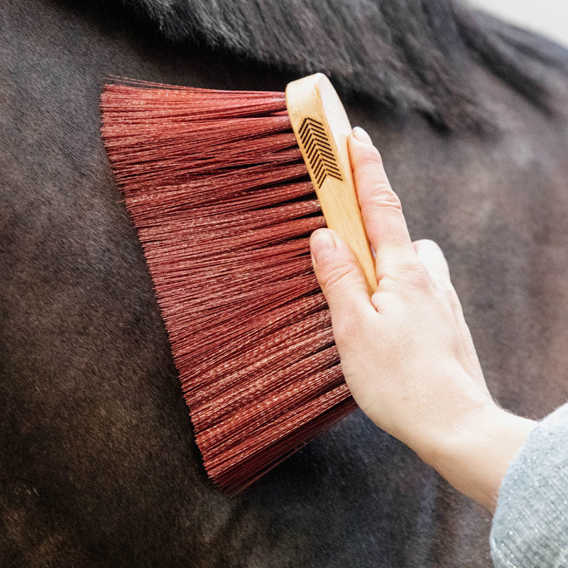 Grooming Deluxe Middle Brush Long Brown 2