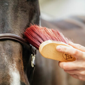 Grooming Deluxe Middle Brush Long Brown