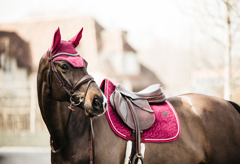Just Equine