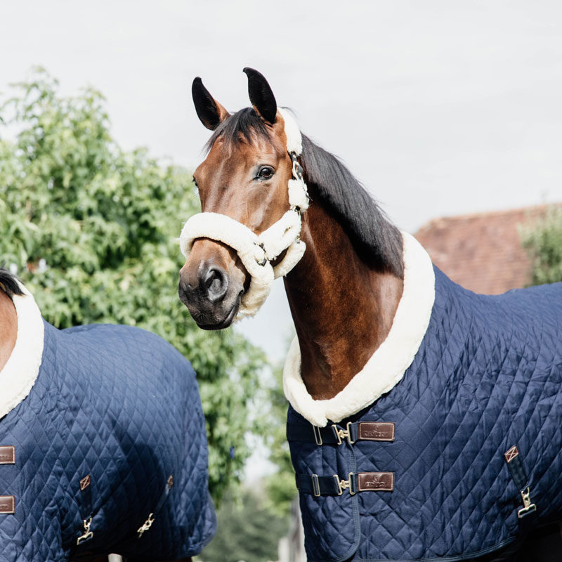 Kentucky Horsewear Show Rug Navy 3