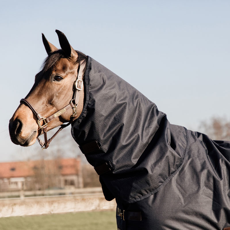 Turnout Rug All Weather Waterproof Classic 6