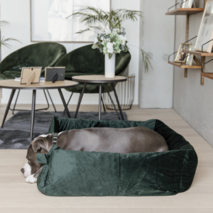 Velvet Dog Bed Pine Green