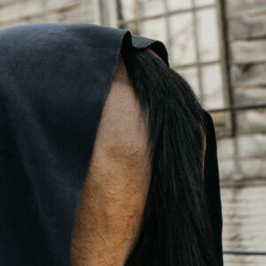 Heavy Fleece Square Blanket Black Hind