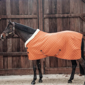 Kentucky Horsewear Show Rug - Orange 4