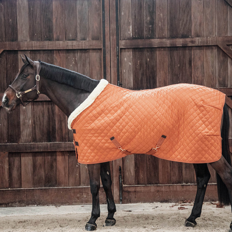 Kentucky Horsewear Show Rug - Orange 4