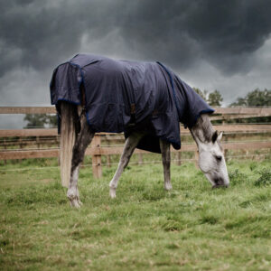 Turnout Rug All Weather Hurricane - 0g