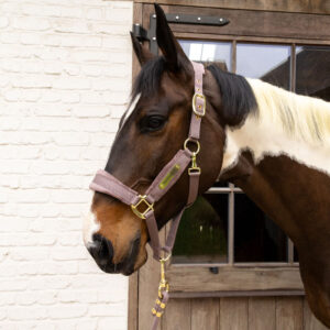 Kentucky Horsewear Velvet Head Collar 42558-