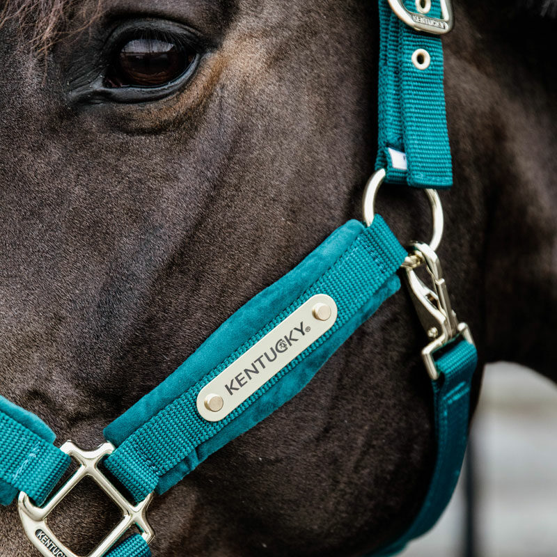 Kentucky Horsewear Velvet Head Collar Emerald 3 Kentucky Horsewear Velvet Head Collar