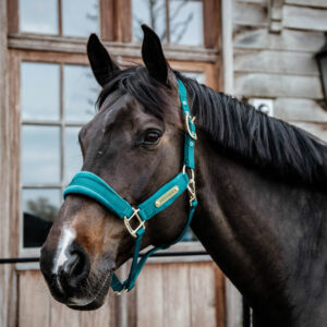 Kentucky Horsewear Velvet Head Collar Emerald 4