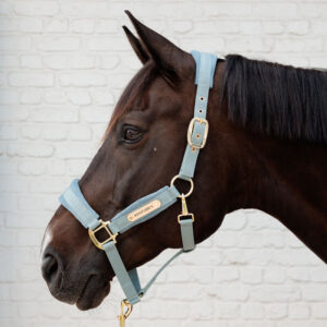 Kentucky Horsewear Velvet Head Collar