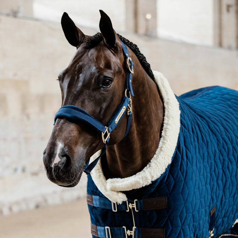 Kentucky Horsewear Velvet Head Collar Navy Kentucky Horsewear Velvet Head Collar