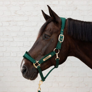 Kentucky Horsewear Velvet Head Collar