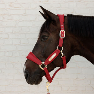 Kentucky Horsewear Velvet Head Collar
