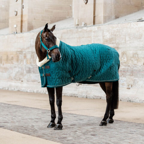 Kentucky Velvet Show Rug – Emerald – Discontinued