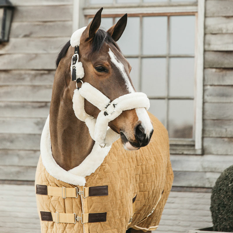 Kentucky Horsewear Velvet Show Rug Mustard Kentucky Horsewear Velvet Show Rug - Mustard