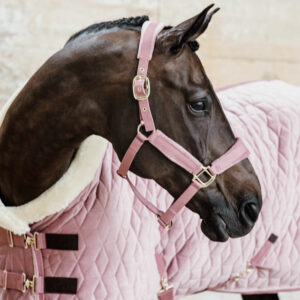 Kentucky Horsewear Velvet Show Rug - Pink