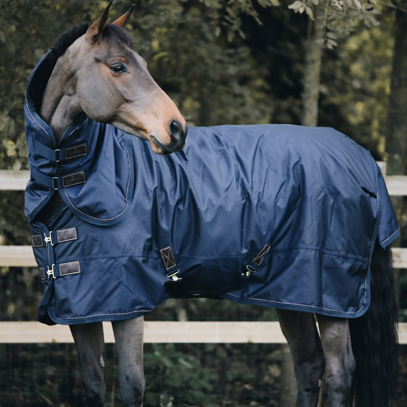 Kentucky Horsewear Turnout Rug Pro - 300g 6 Kentucky Horsewear Turnout Rug Pro - 300g - Image 6