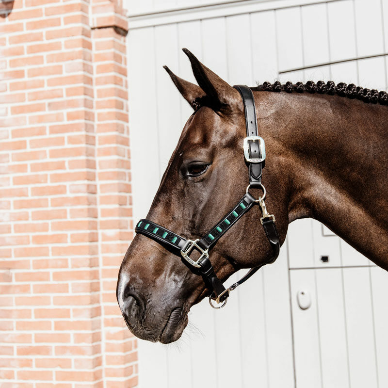 Kentucky Horsewear Pearls Head Collar Black 2 Kentucky Horsewear Pearls Head Collar