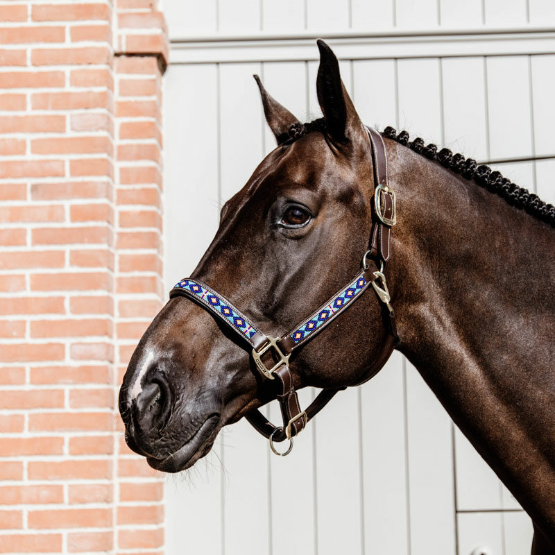 Kentucky Horsewear Pearls Head Collar Blue