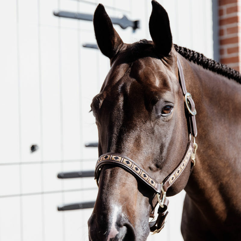 Kentucky Horsewear Pearls Head Collar Gold 1 Kentucky Horsewear Pearls Head Collar