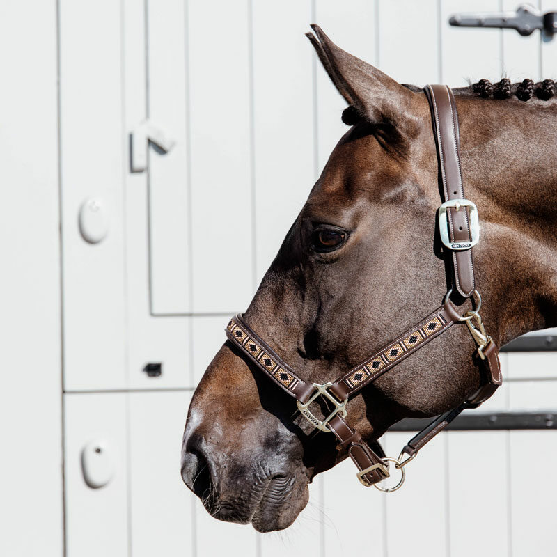 Kentucky Horsewear Pearls Head Collar Gold Kentucky Horsewear Pearls Head Collar