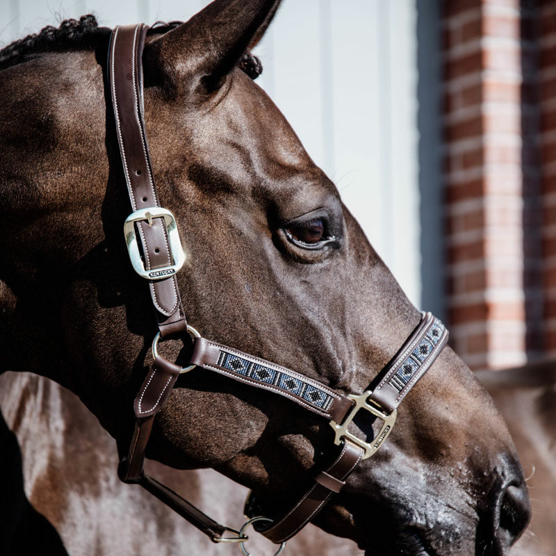 Kentucky Horsewear Pearls Head Collar Silver 1 Kentucky Horsewear Pearls Head Collar