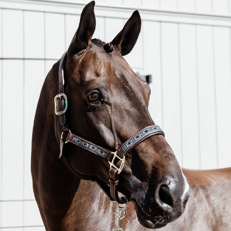 Kentucky Horsewear Pearls Head Collar Silver Kentucky Horsewear Pearls Head Collar