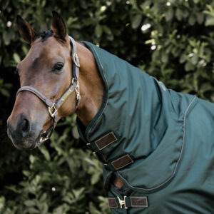 Turnout Rug Pro Neck Cover 150g - Pine Green