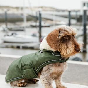 Kentucky Dogwear Waterproof Dog Coat - 300g