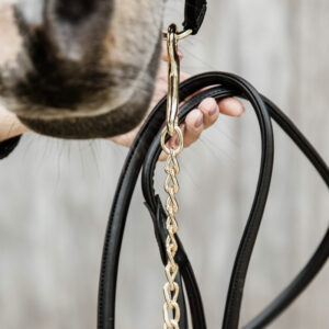 Leather Lead Chain Black 1