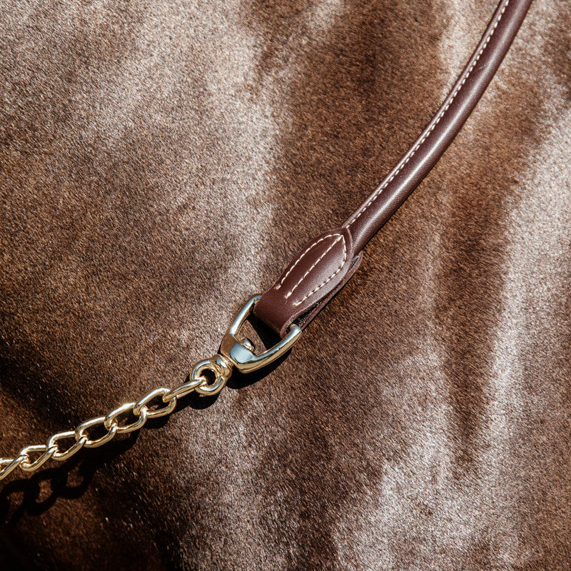 Leather Lead Chain Brown 2