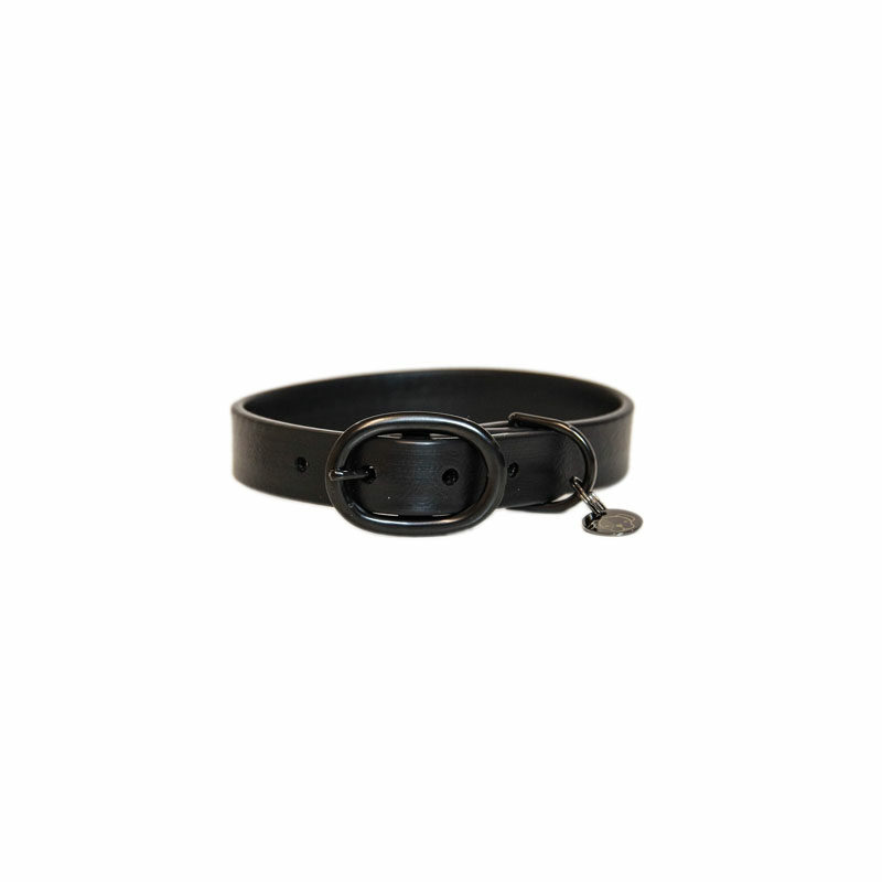 42554 01 B Kentucky Dogwear Rubber Dog Collars