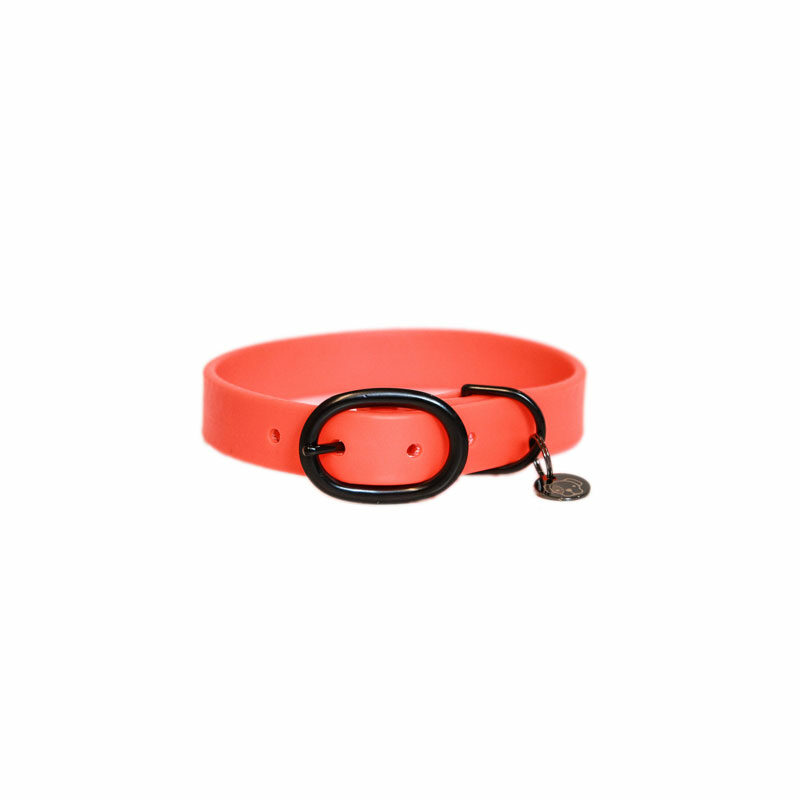 42554 45 B Kentucky Dogwear Rubber Dog Collars